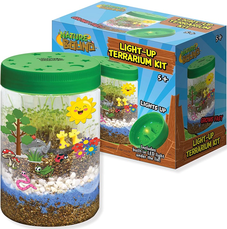 Safari terrarium kit