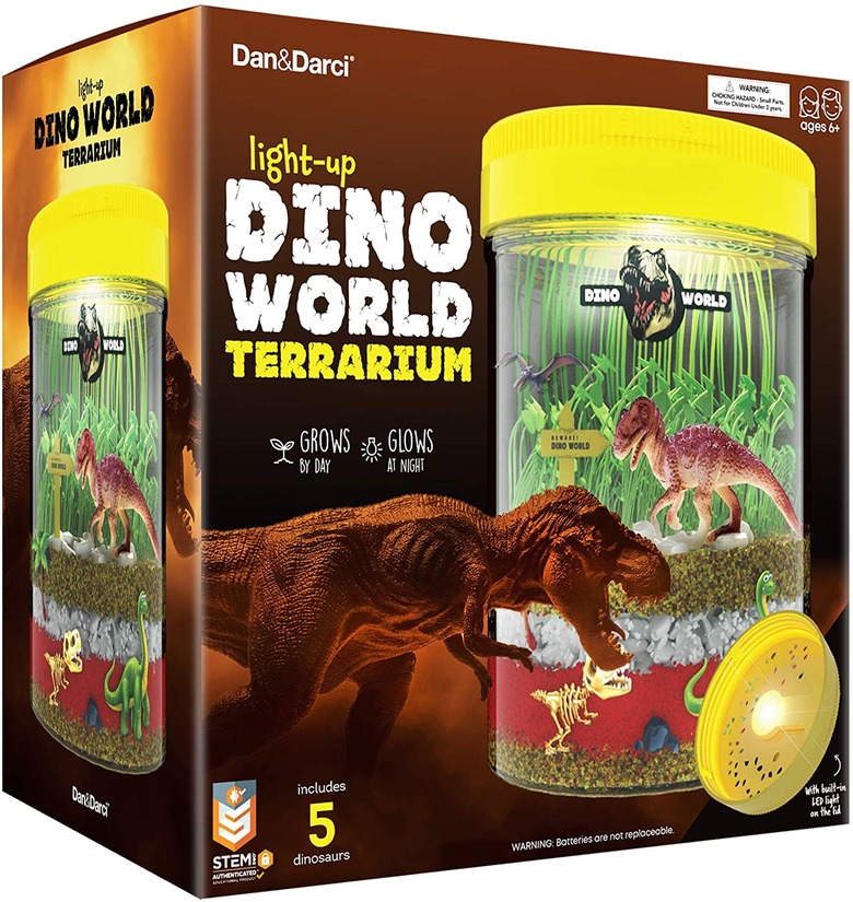 Light up dinosaur terrarium.
