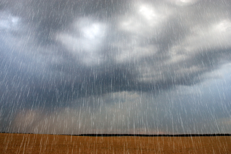 Rain at the fields