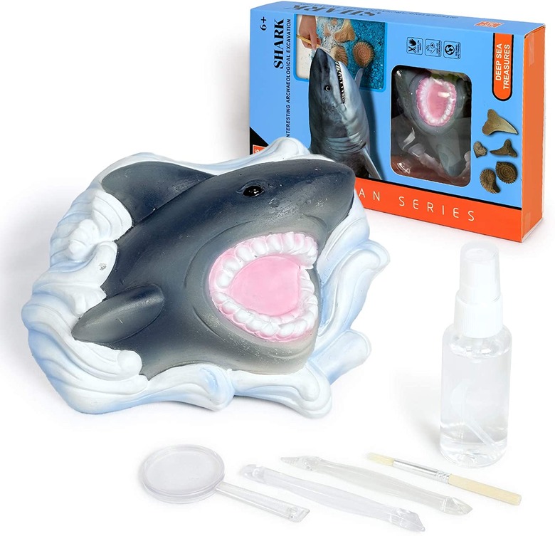 Shark tooth excavation science kit.