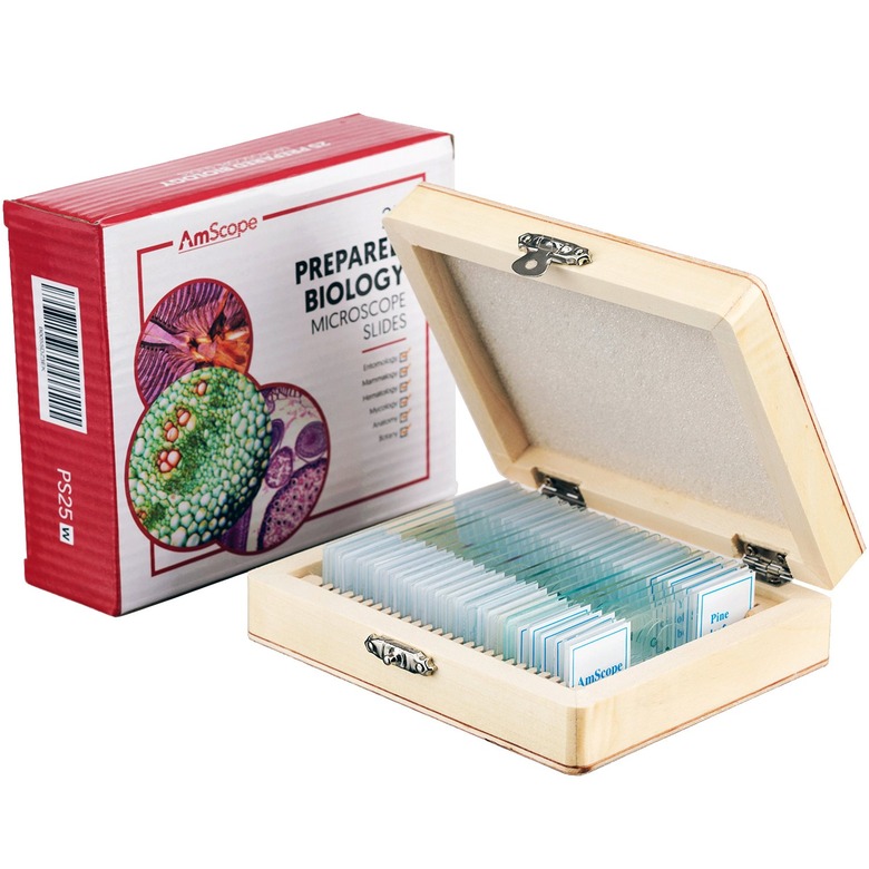 Slide specimen science kit